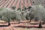 Extremadura 2004